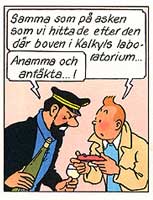 tintin